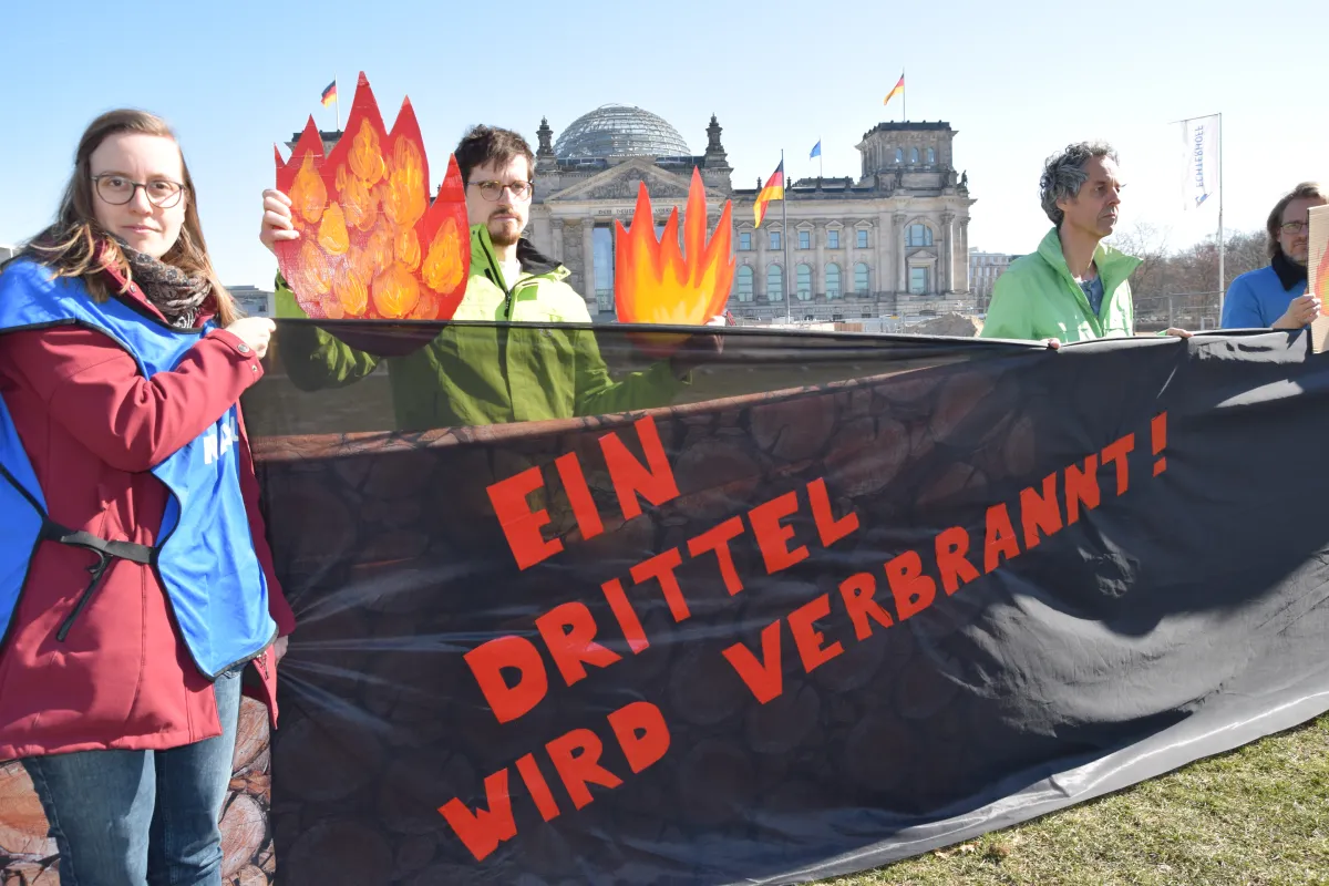 Wald Aktion Waldtag